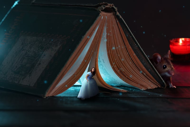 Cinderella Dream